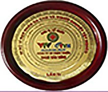Tài trợ Chương trình "Đi bộ vì nạn nhân chất độc da cam”.