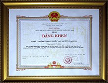 Bằng khen của Thủ tướng Chính phủ.